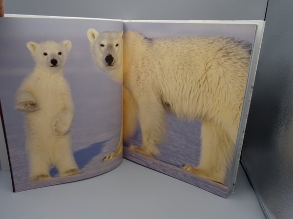 Jääkarhun maa - uhanalainen arktinen luonto - de la Lez Mireille & Granath Fredrik, Tammi