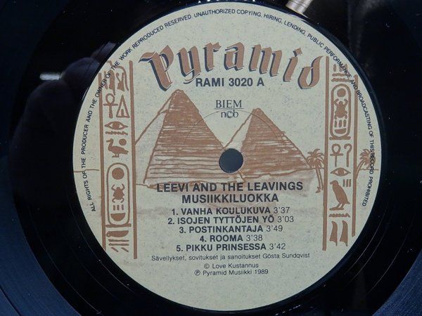 Leevi And The Leavings – Musiikkiluokka LP